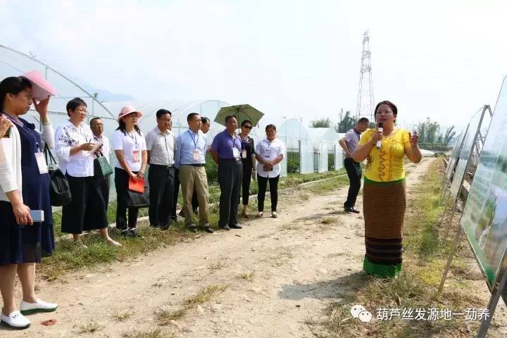 微信图片_20170516105139