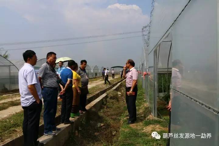 微信图片_20170516105146