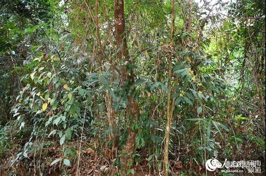 微信图片_20210808215118