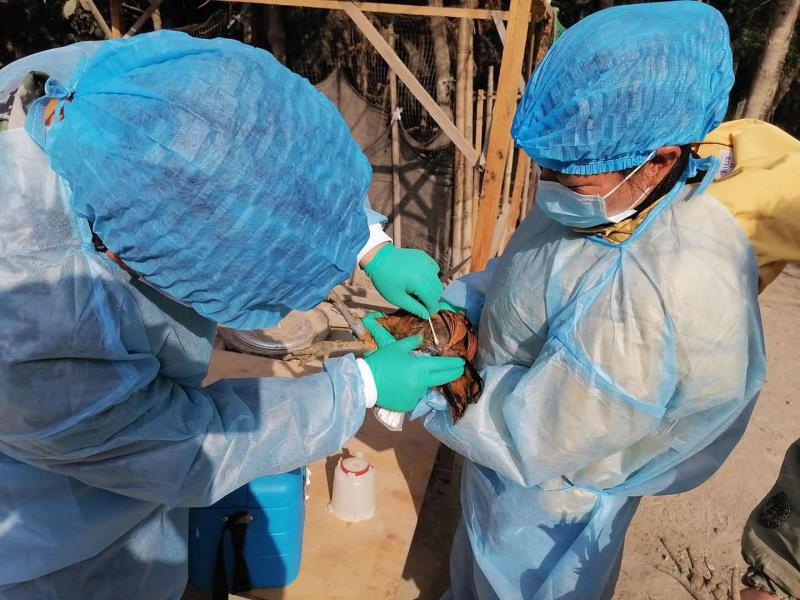 微信图片_20200214111320