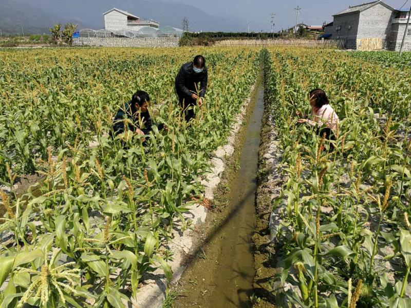 微信图片_20200220152557