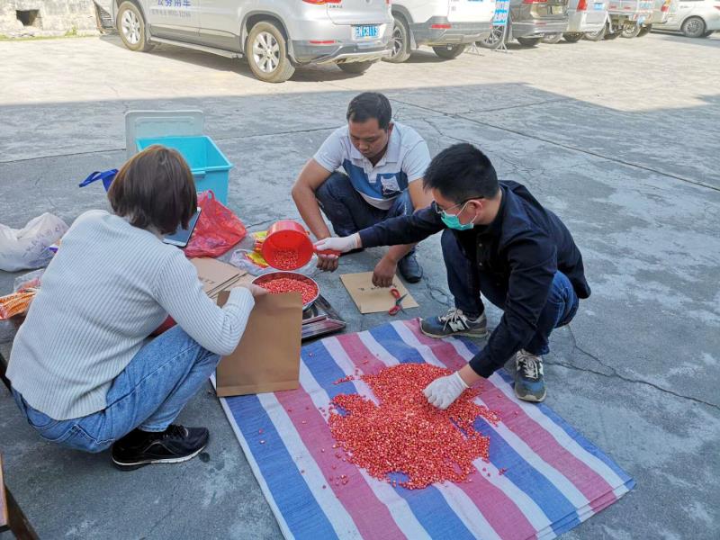 微信图片_2020030217354448_副本