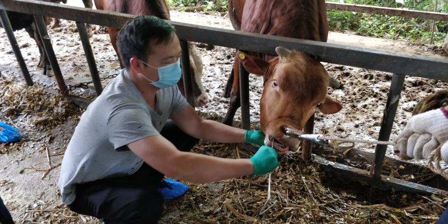 微信图片_20200610172832