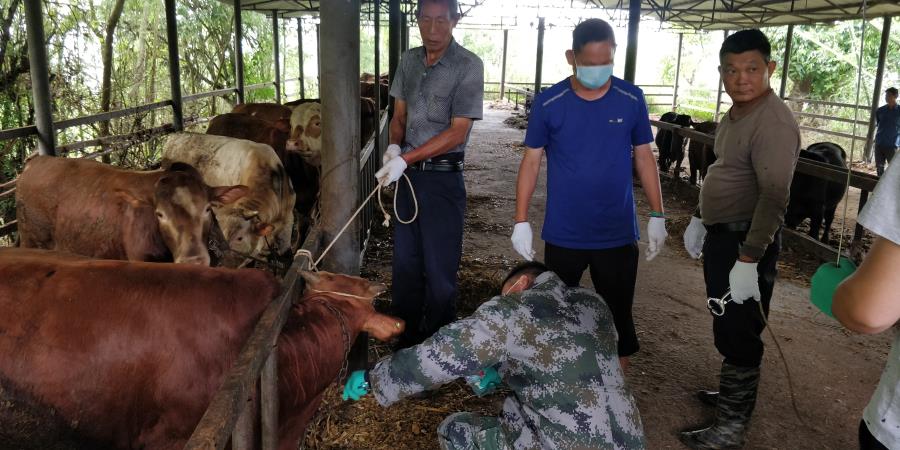 微信图片_20200610172847