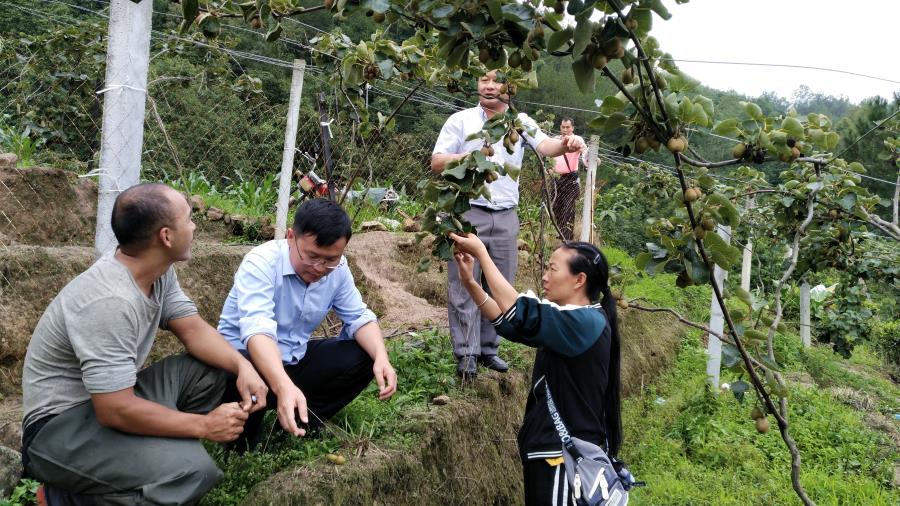 微信图片_20200619091136