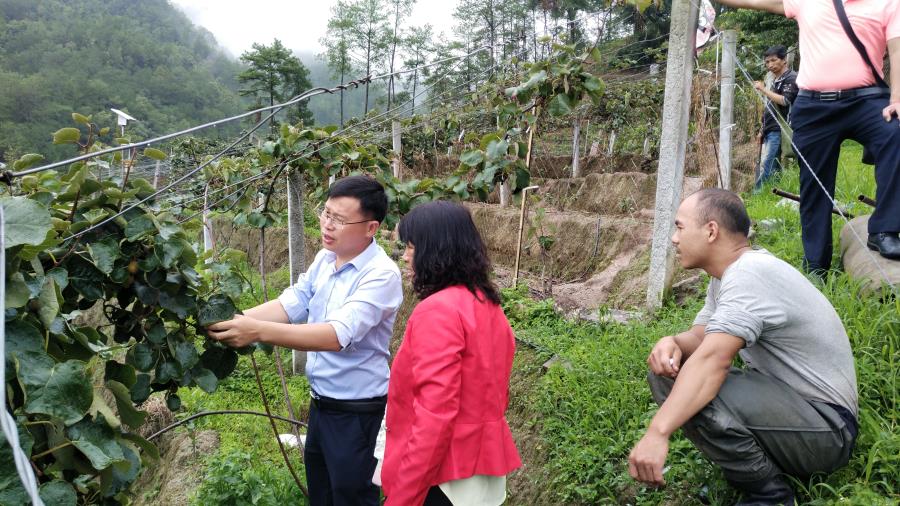 微信图片_20200619092336