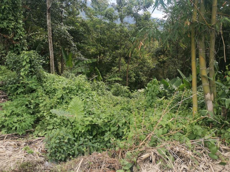 微信图片_20200616090612