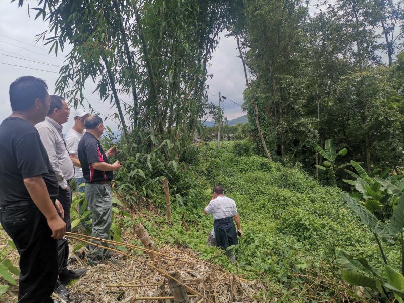 微信图片_20200616090841