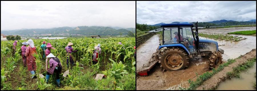 光影魔术手拼图