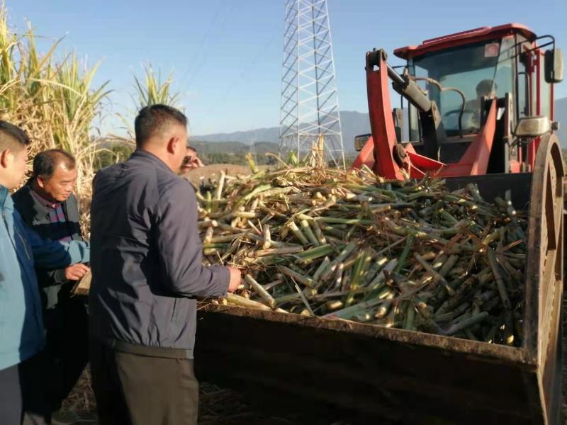 微信图片_20210111145754