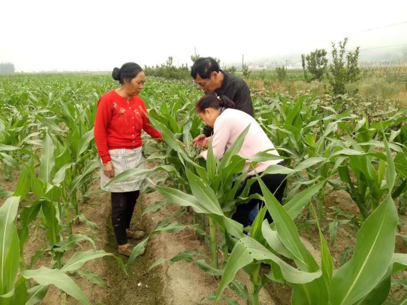 微信图片_20210512104811