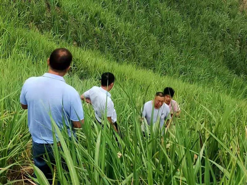 微信图片_20210607144902