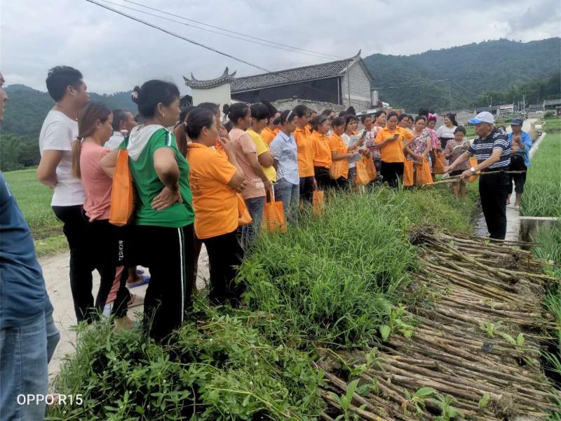 微信图片_20200729080812