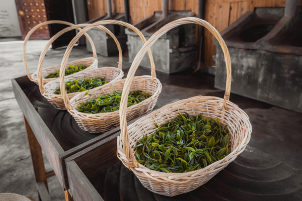 微信图片_20190705162159