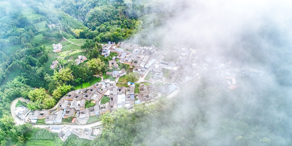 微信图片_20190705162137