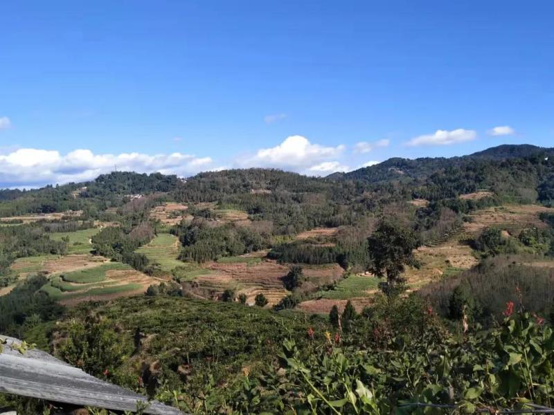 微信图片_20211116084057