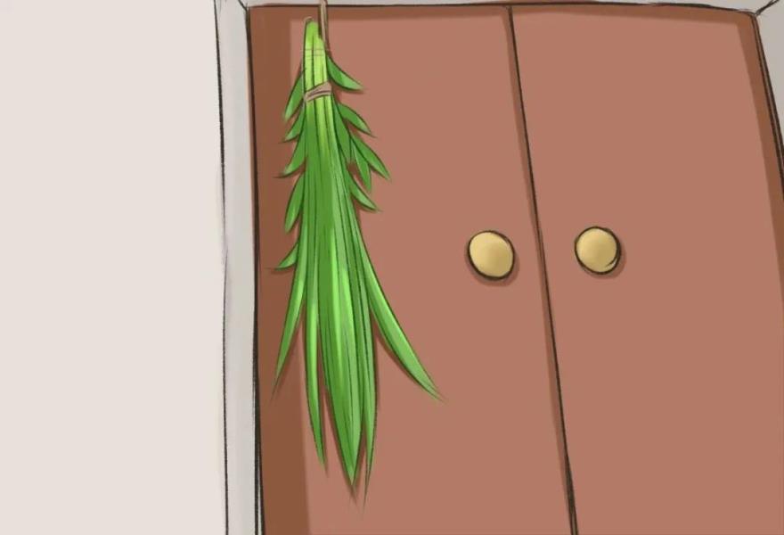 微信图片_20211111155621