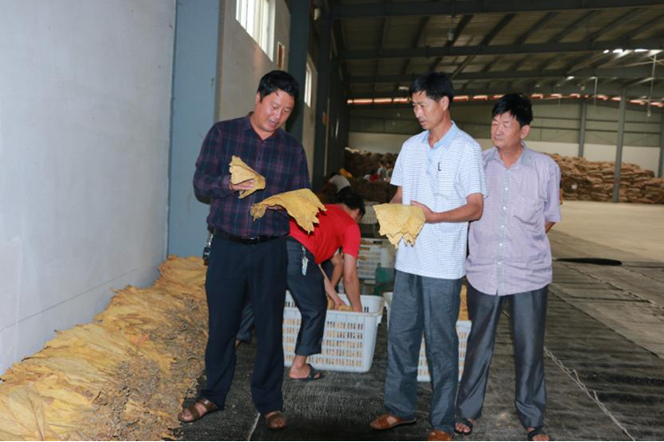 QQ图片20150609151008