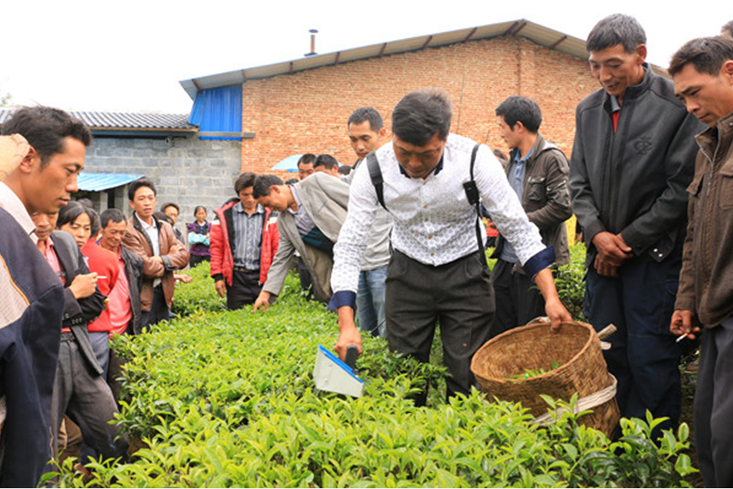 QQ图片20150625160417