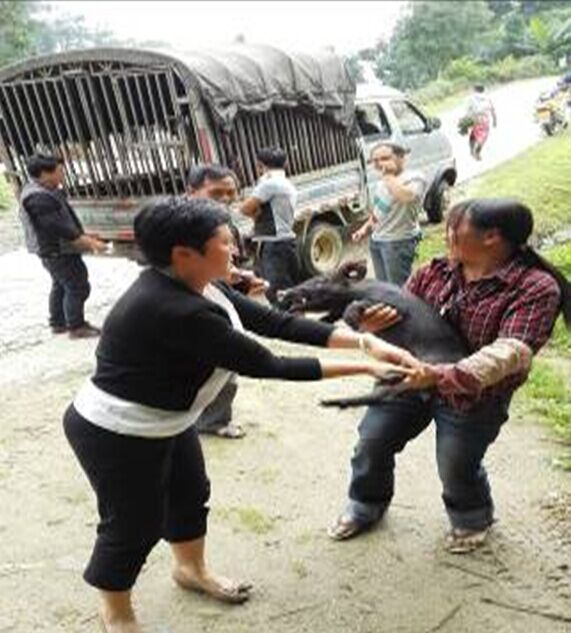 QQ图片20150708163544