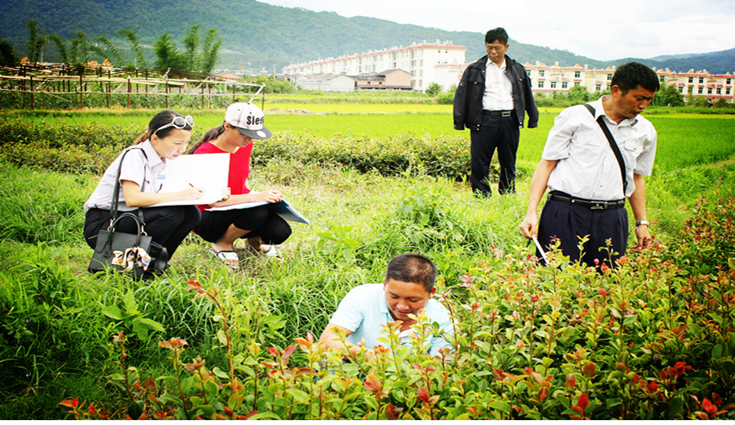 QQ图片20150721085433