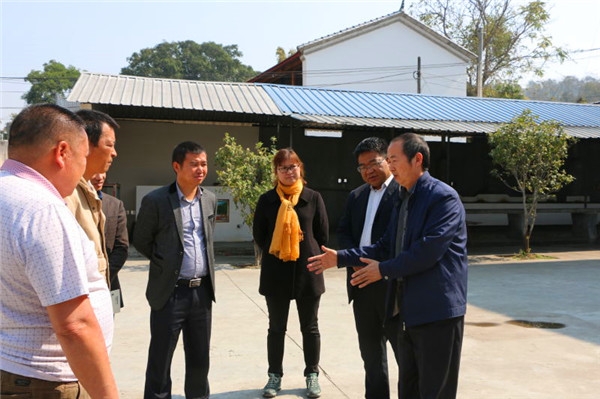 9fe32ae1fbf3ae78_jpg_cthumb