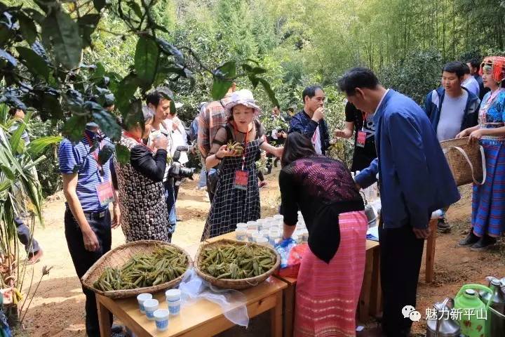 微信图片_20170327144923