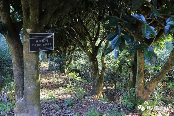 微信图片_20170327144851