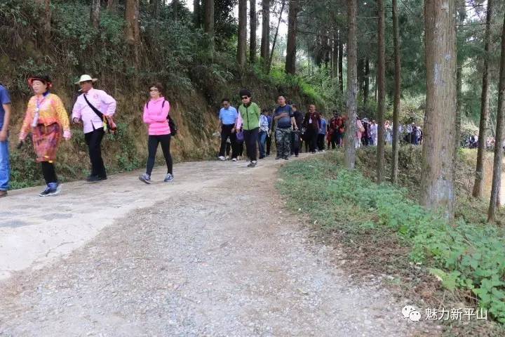 微信图片_20170327144322