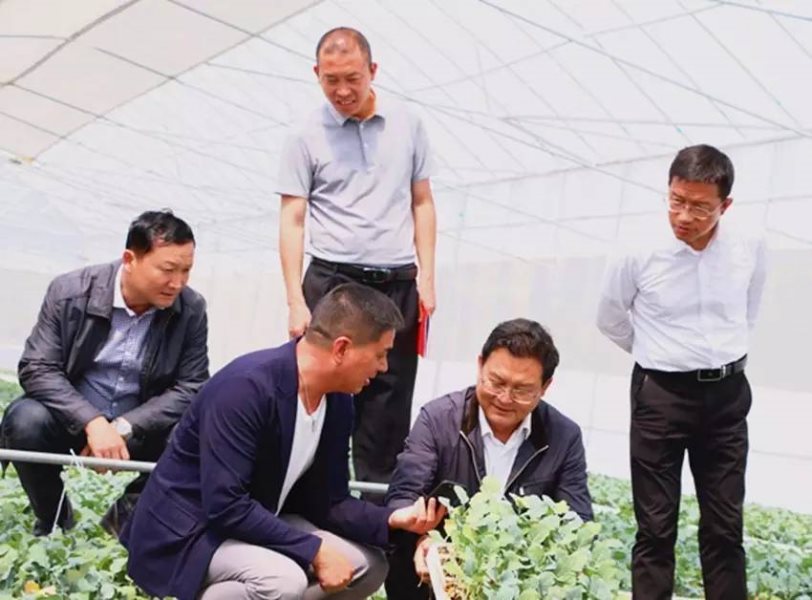 微信图片_20170420091310