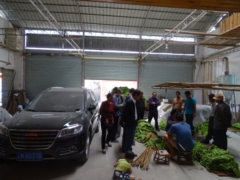 在芒蚌烟农雷春明家观摩