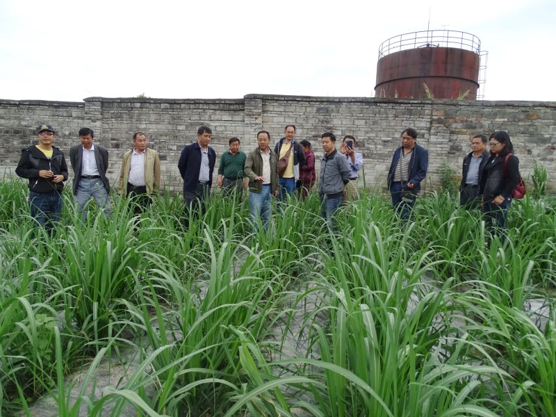 2017.5.17梁河甘蔗站支部到试. 