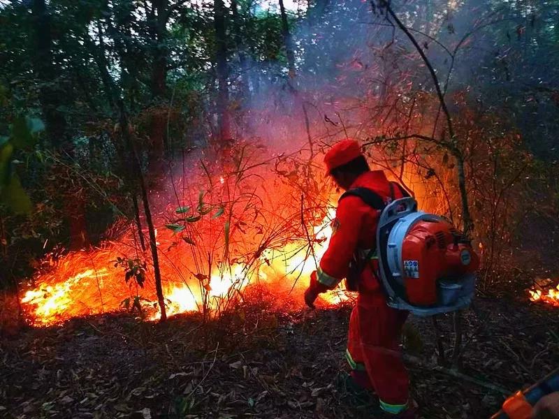 微信图片_20200117091228