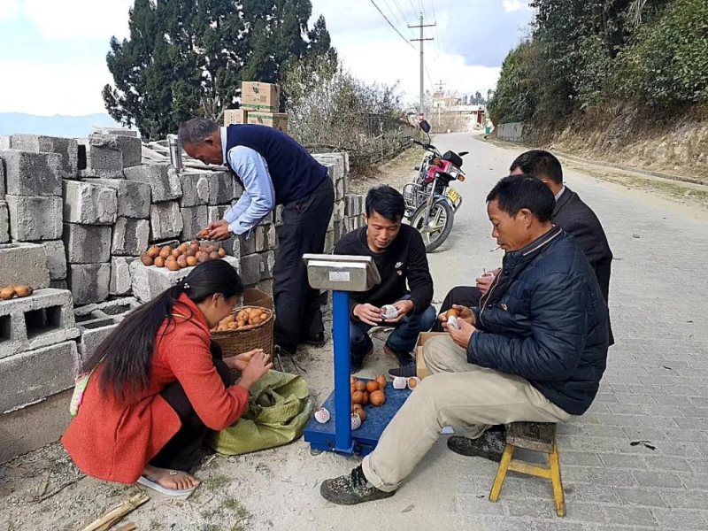 微信图片_20200416101141