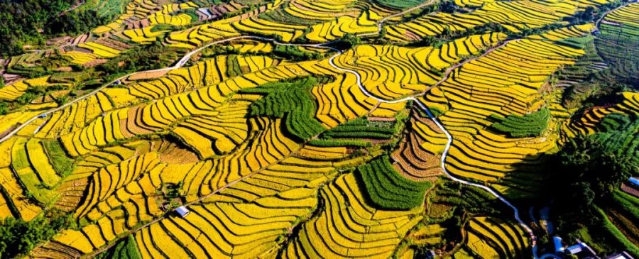 6dd12a4d-3fc9-4225-b6da-2f2feb0be7e6_l