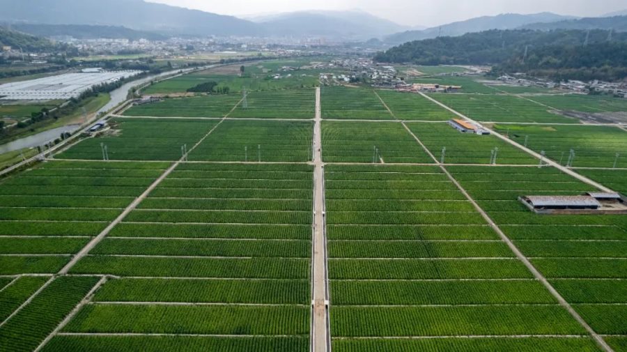 632dc5e6-dd4f-47ab-b328-7581c40fcbe7_l