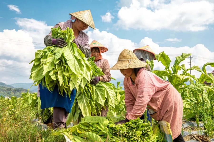 f391d5b2-89bb-42f7-aa17-c57f5d772554_l