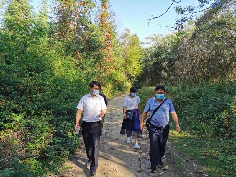 dd36cf9f326ba958424562b4a295ac2