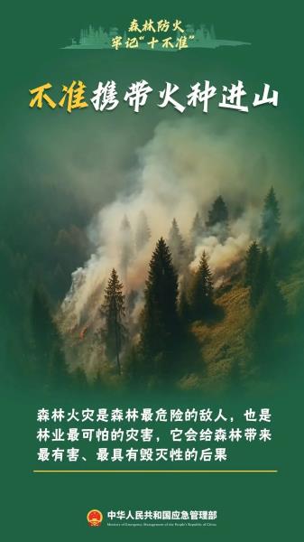 1.不准携带火种进山