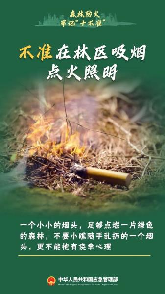 3.不准在林区吸烟点火照明