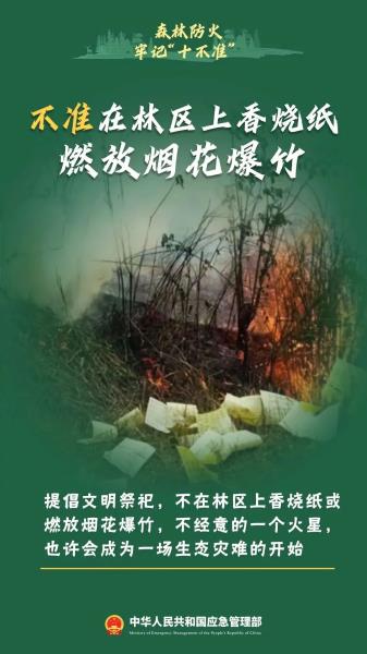 5.不准在林区上香烧纸燃放烟花爆竹