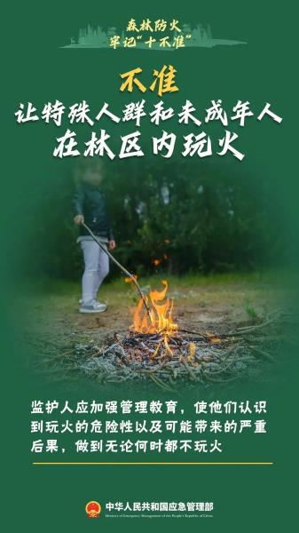7.不准让特殊人群和未成年人在林区内玩火