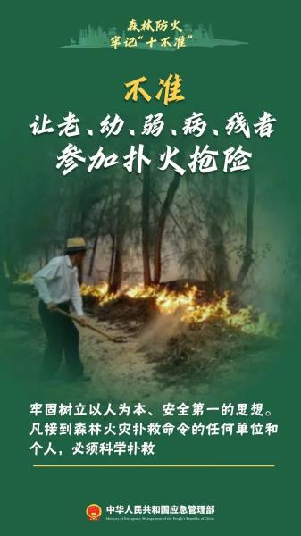 10.不准让老幼弱病残者参加扑火抢险