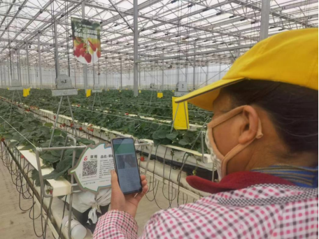 微信图片_20231030120404