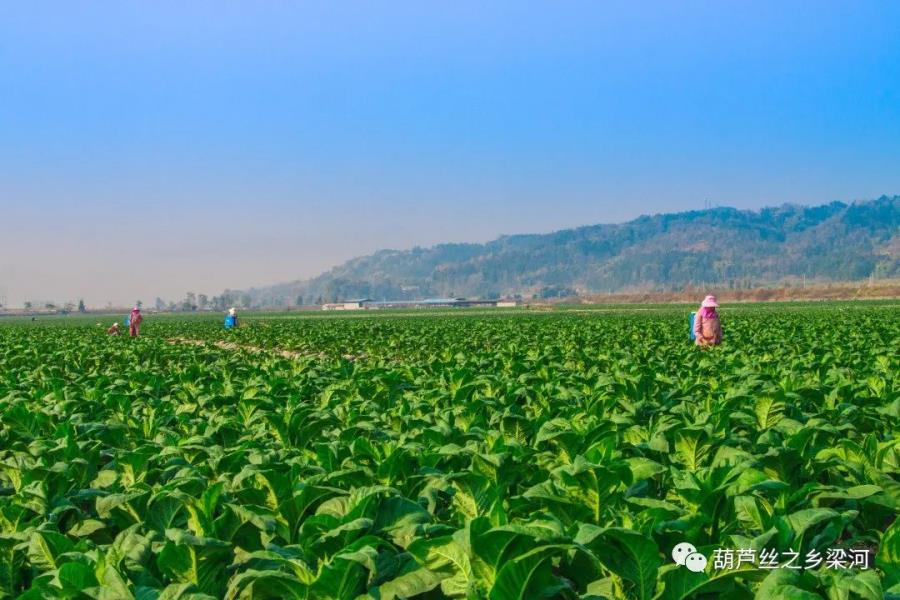 微信图片_20231102095901