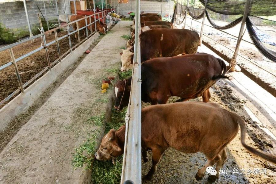 微信图片_20231102100036