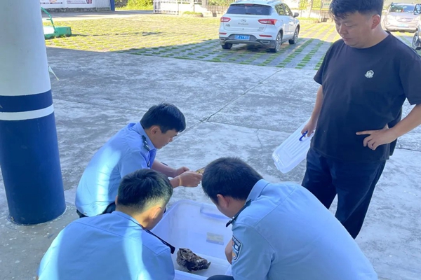 640 - 2024-10-02T100131.754