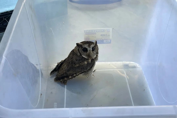 640 - 2024-10-02T100139.636