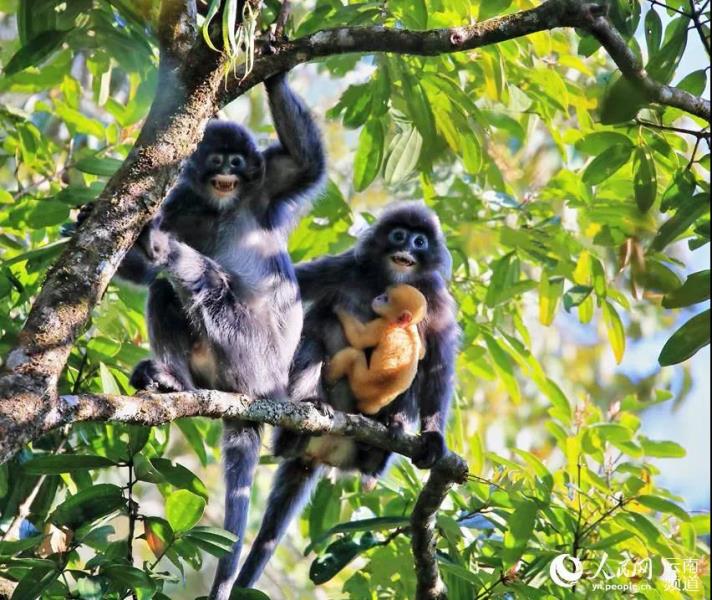 微信图片_20210831184207