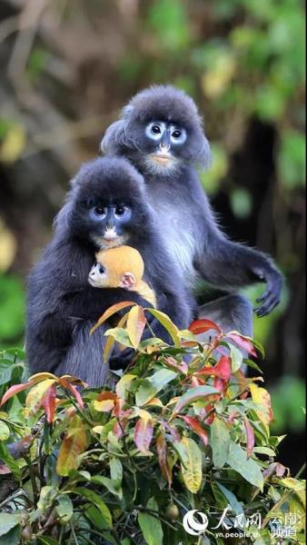 微信图片_20210831184211